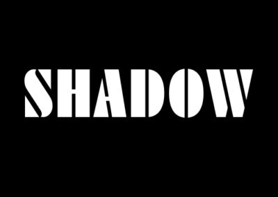 Shadow F1 Team